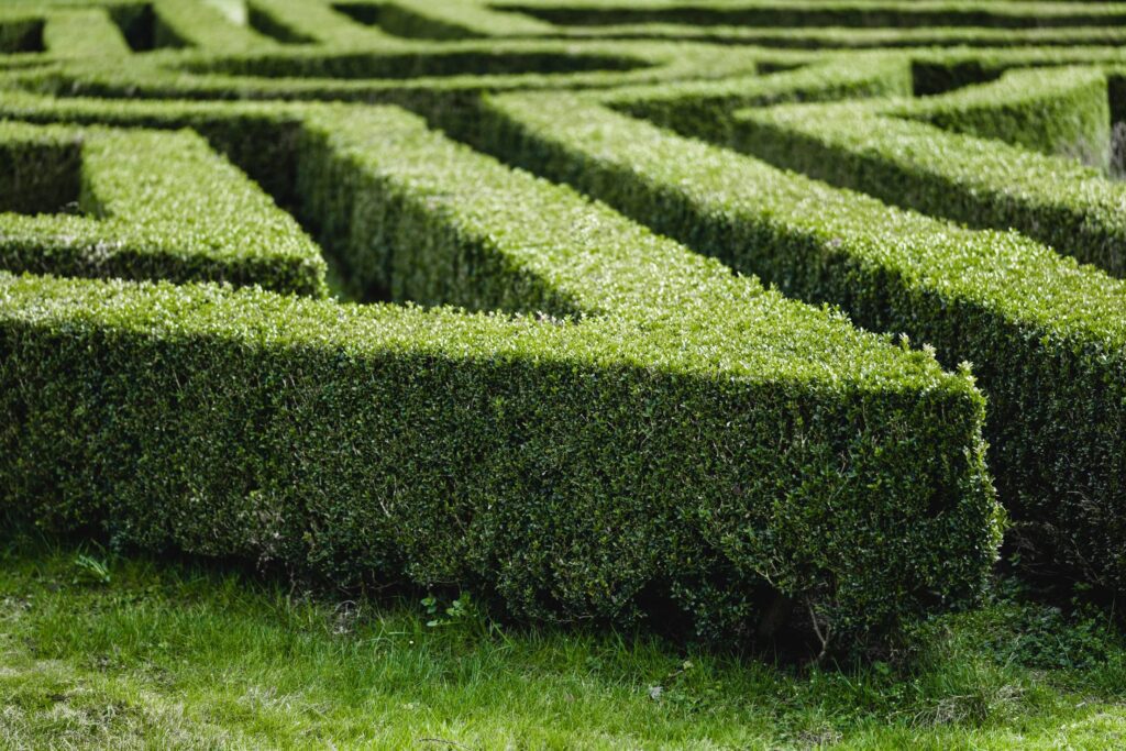 Garden Maze in The Lednice Castle Park Free Photo