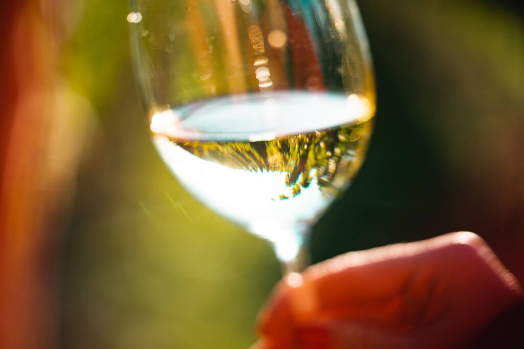 Glass of White Wine Free Photo