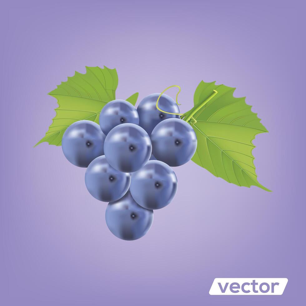 Grape cartoon icon. black muscatel grape benches. Stock Free