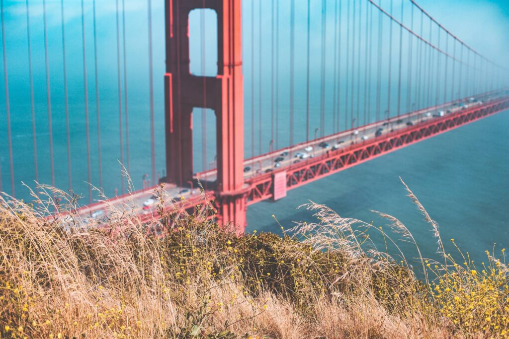 Grass with Golden Gate Bridge in Background Free Photo