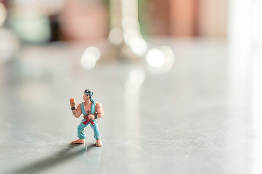 Karate Figurine Free Stock Photo