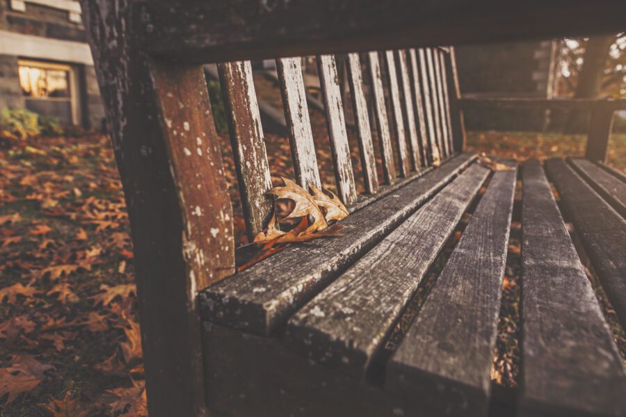 Wooden Park Bench Free Stock Photo