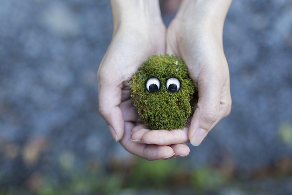 Holding Moss Free Stock Photo