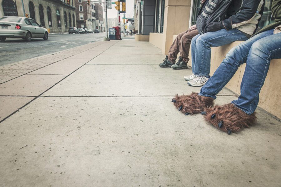 Bear Slippers Free Stock Photo