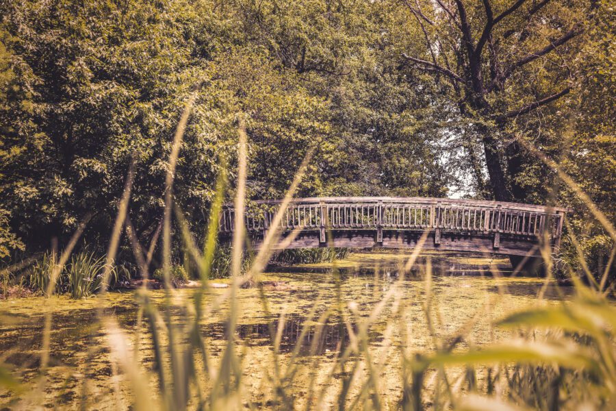 Creek Bridge Free Stock Photo