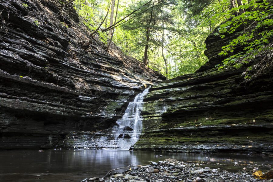 Beautiful Flowing Creek Free Stock Photo