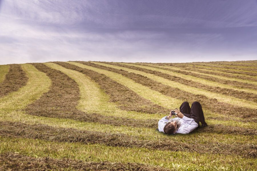 Relaxing in Farm Field Free Stock Photo