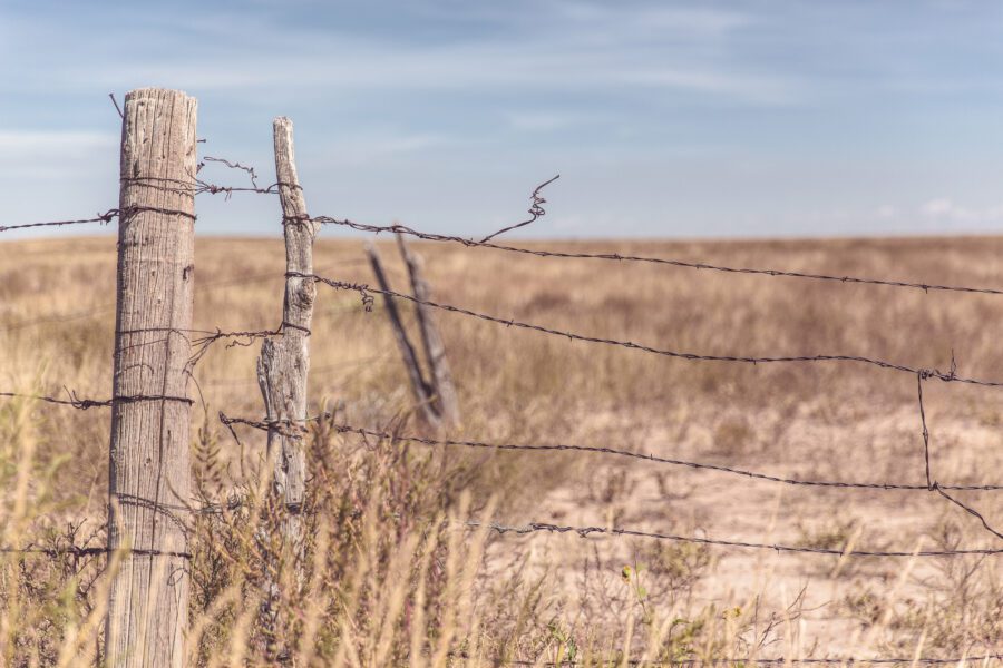 Barbed Wire Fence Free Stock Photo