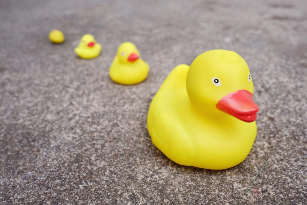 Family of Rubber Ducks Free Stock Photo