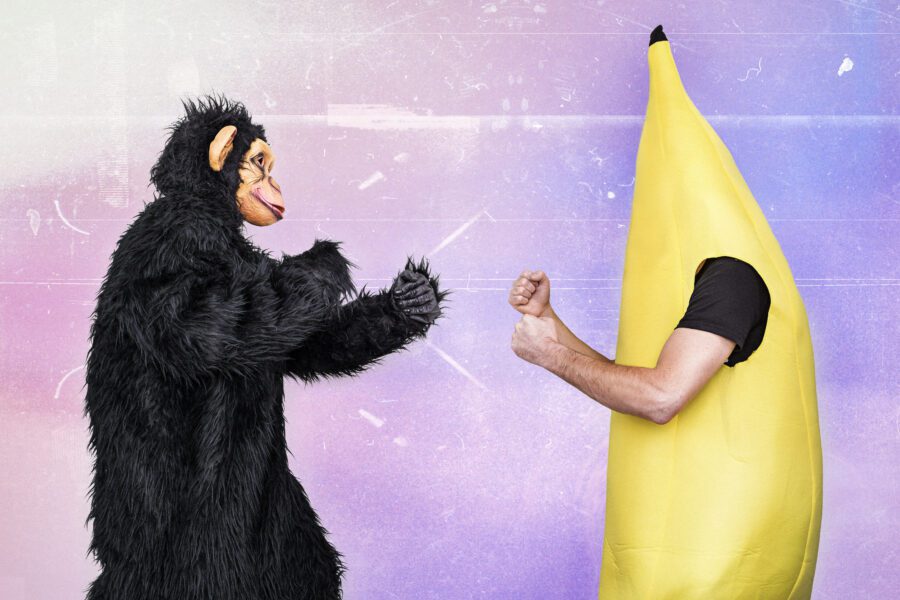 Costume Fight Free Stock Photo