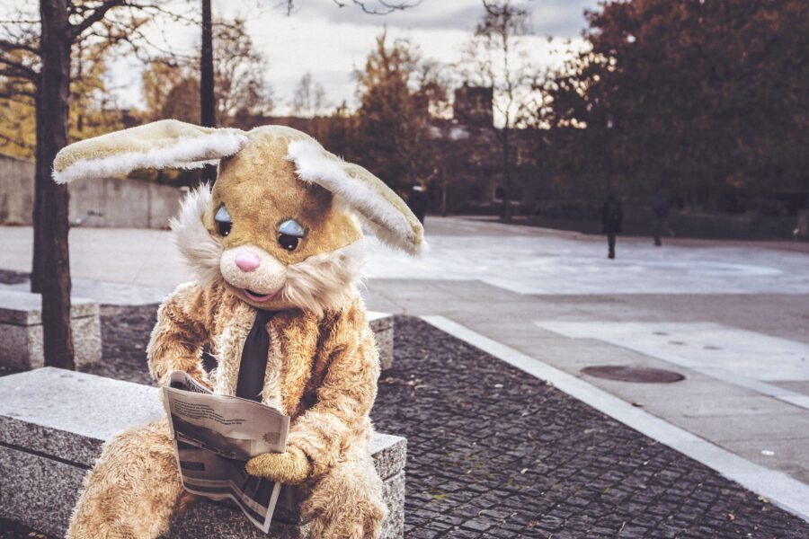 Bunny Costume Free Stock Photo