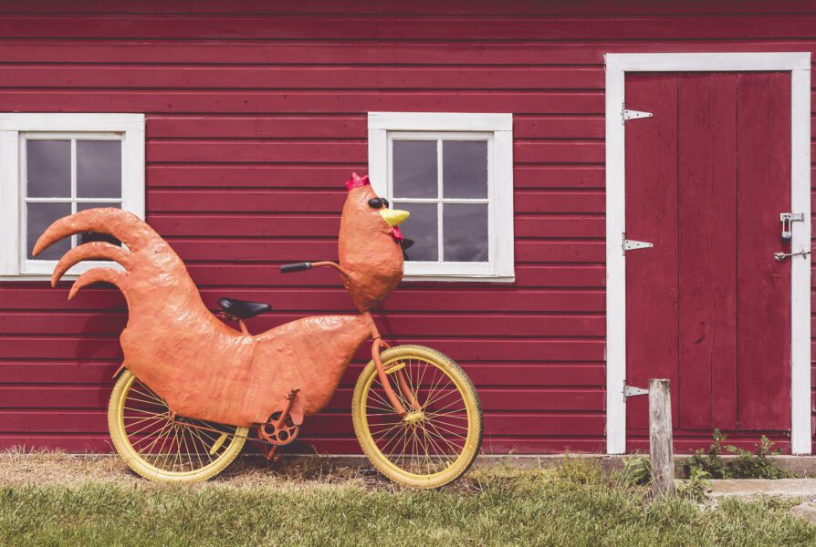 Funny Bike Free Stock Photo