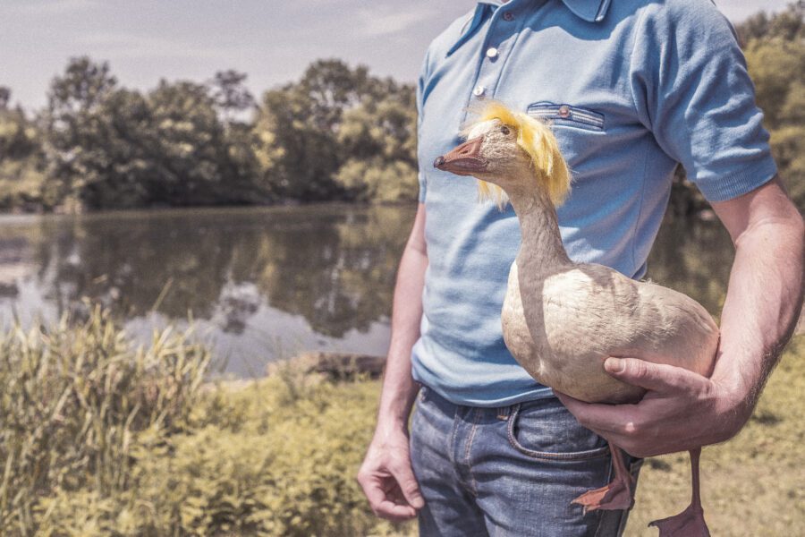 Man Holding Goose Free Stock Photo