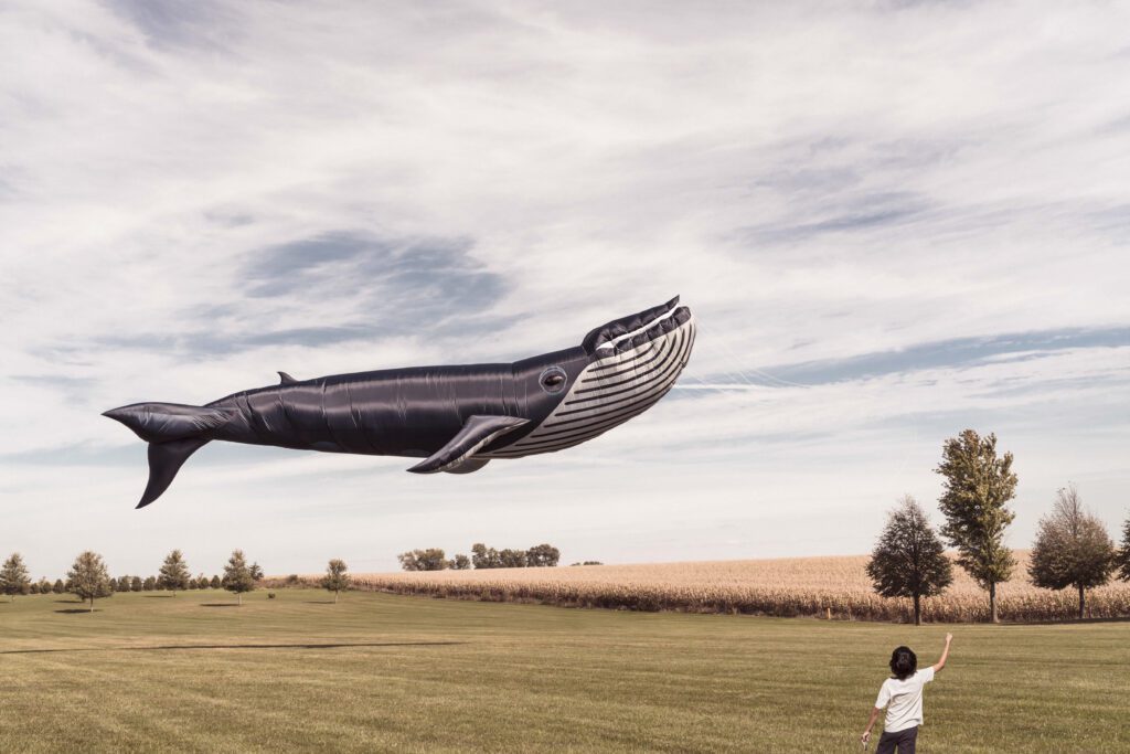 Whale Kite Free Stock Photo