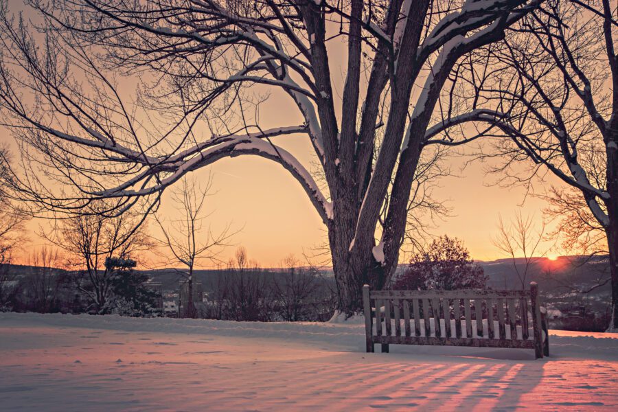 Sunrise in a Snowy Park Free Stock Photo