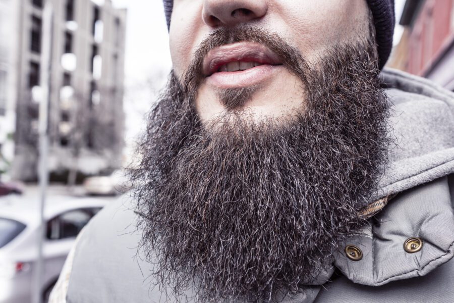 Man With Beard Free Stock Photo