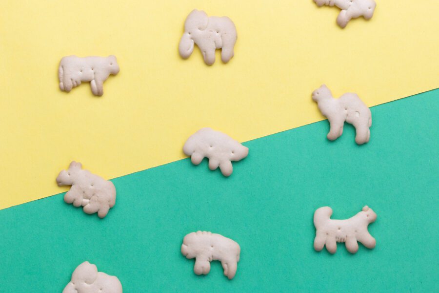 Animal Crackers Free Stock Photo