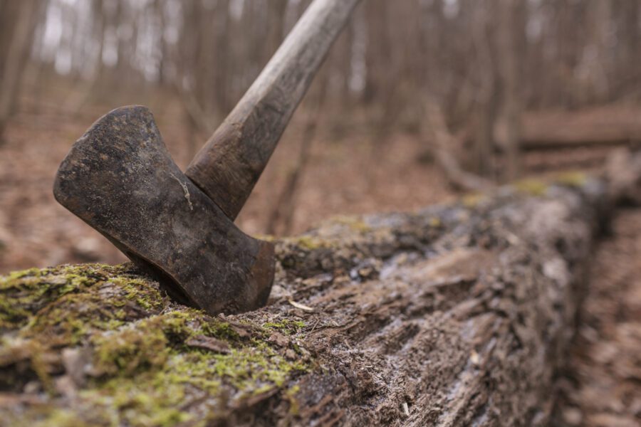 Axe Tree Wood Free Stock Photo