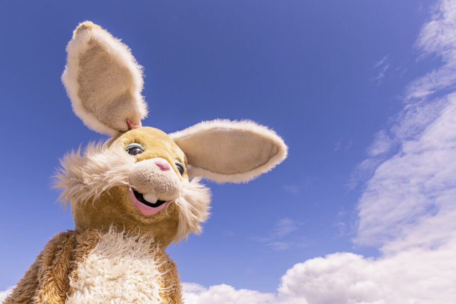 Easter Bunny Ears Free Stock Photo