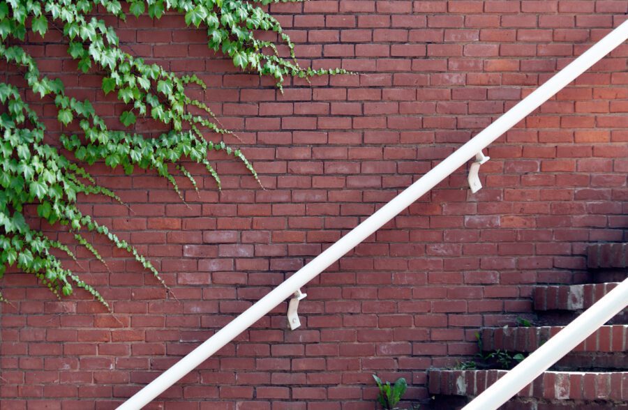 Brick Vine Free Stock Photo