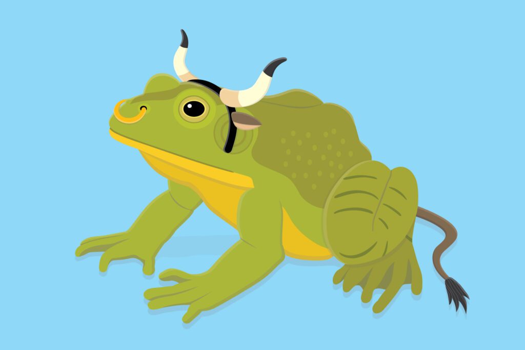 Bull frog Free Stock Vector