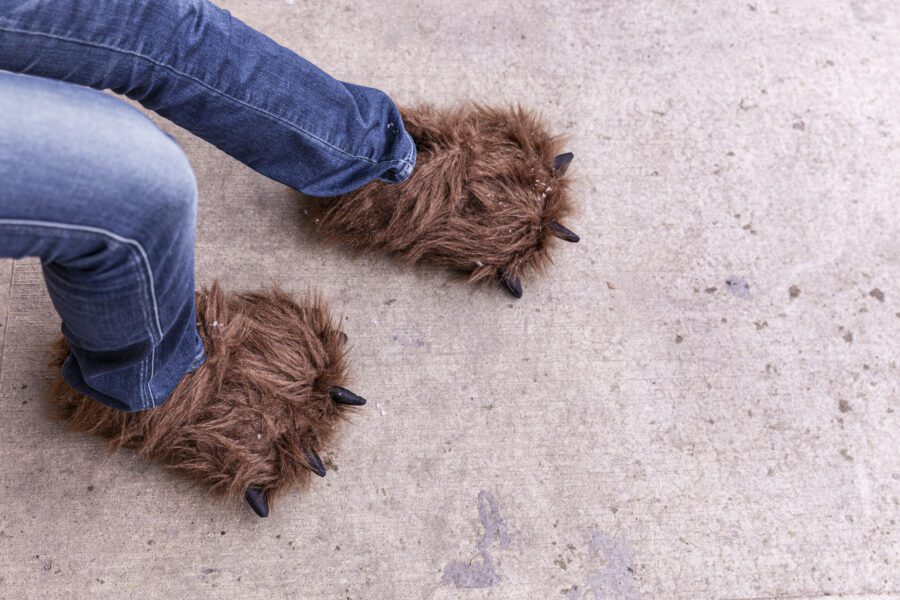 Fuzzy Slippers Feet Free Stock Photo