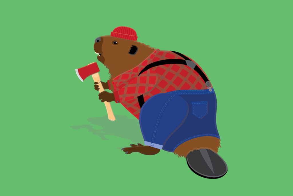 Beaver Cartoon Free Stock Vector