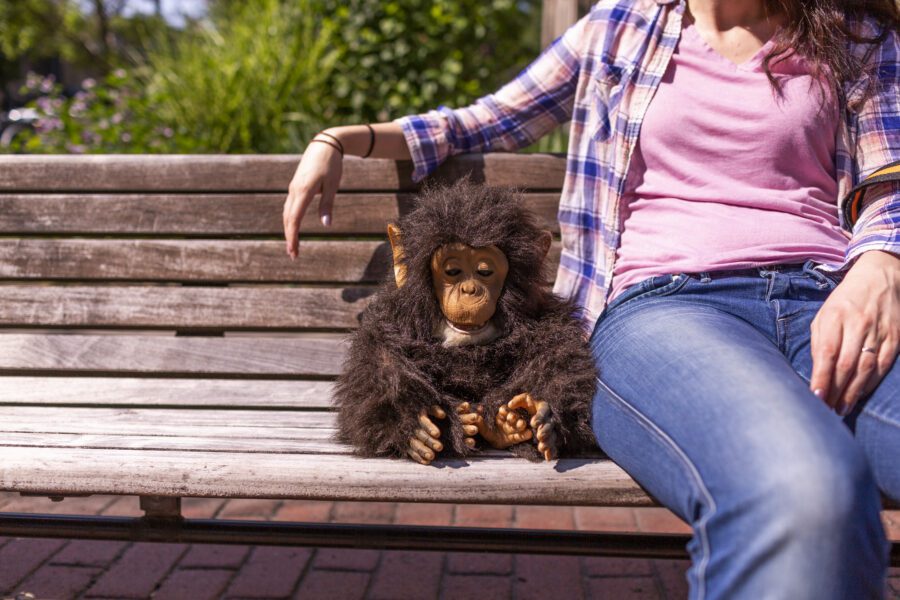 Stuffed Animal and Woman Free Stock Photo