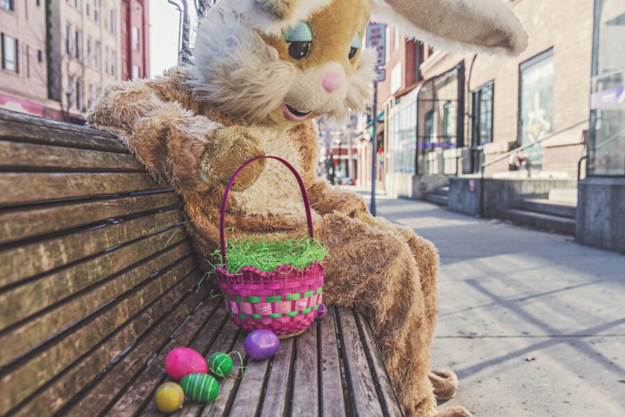 Sad Bunny Free Stock Photo