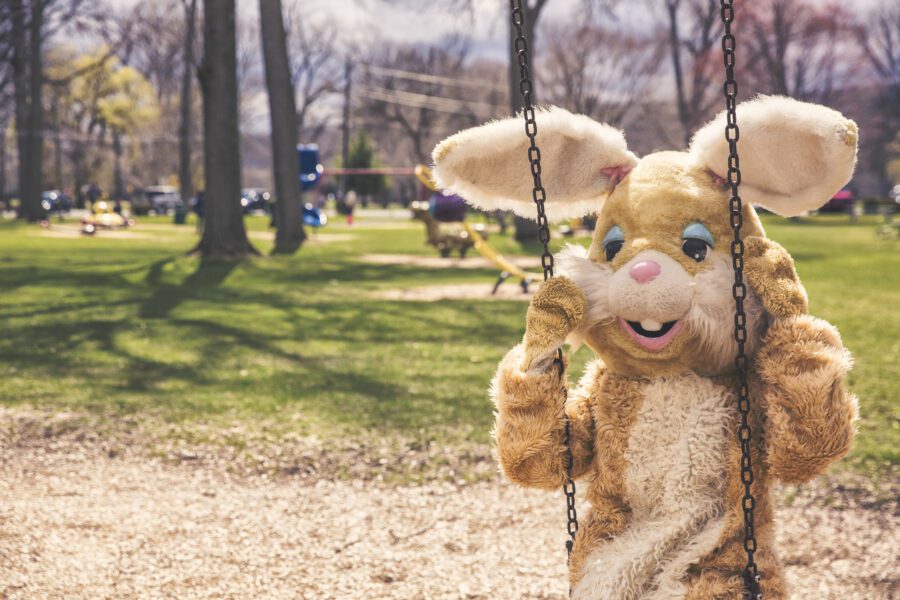 Rabbit Costume Free Stock Photo