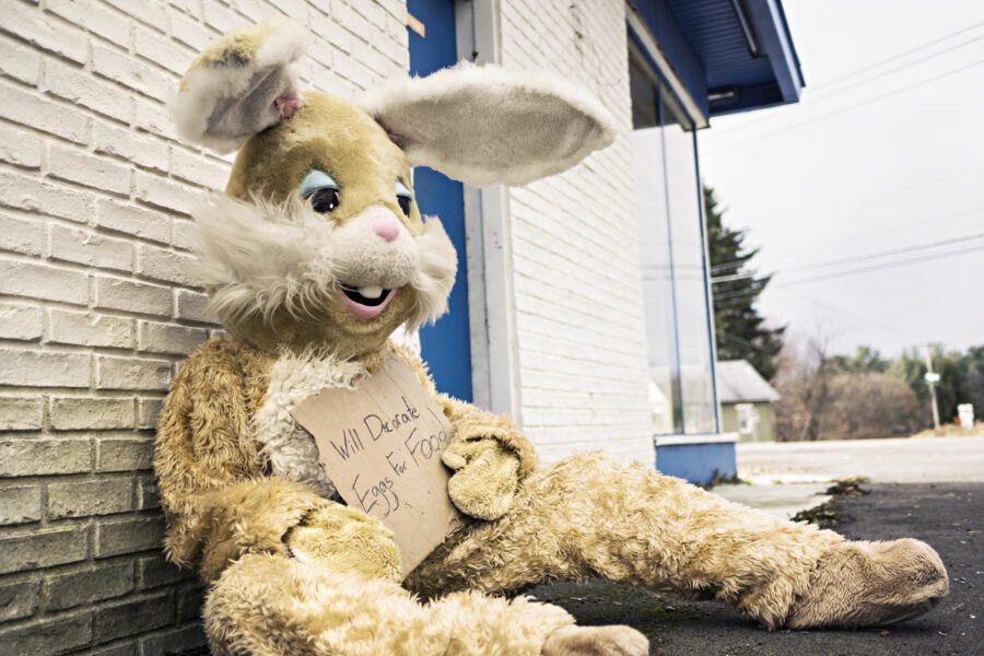 Unhappy Bunny Free Stock Photo