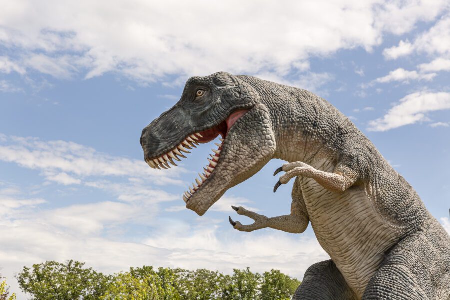 Dinosaur Park Free Stock Photo