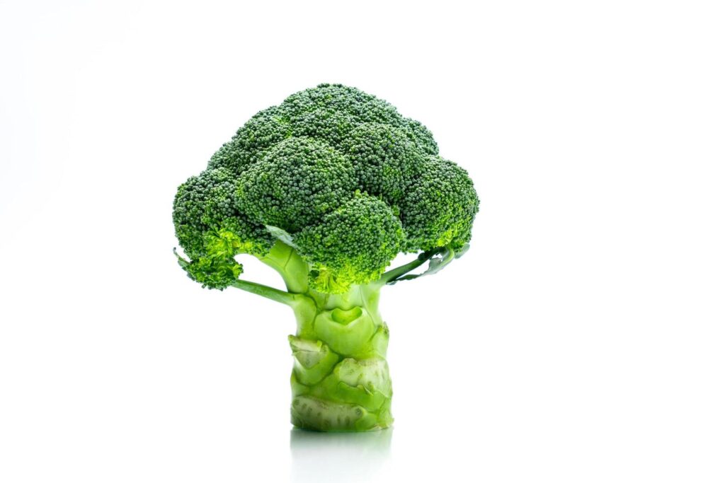 Green broccoli Brassica oleracea. Vegetables natural source of betacarotene, vitamin c, vitamin k, fiber food, folate. Fresh broccoli cabbage isolated on white background with copy space. Stock Free