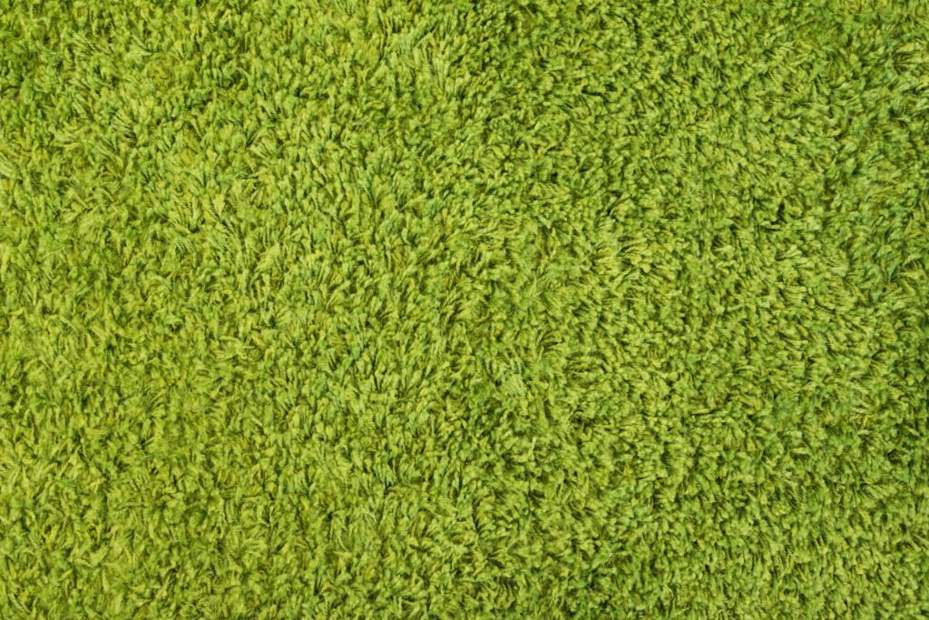 Green High Pile Carpet Close Up Pattern Background Free Photo