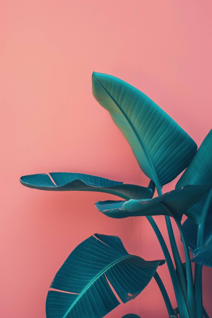 Green Tropical Plant on Pink Background Stock Free