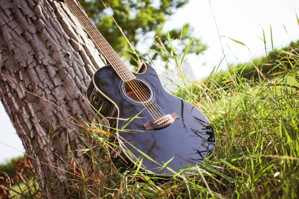 Guitar In Sunny Grass Free Photo