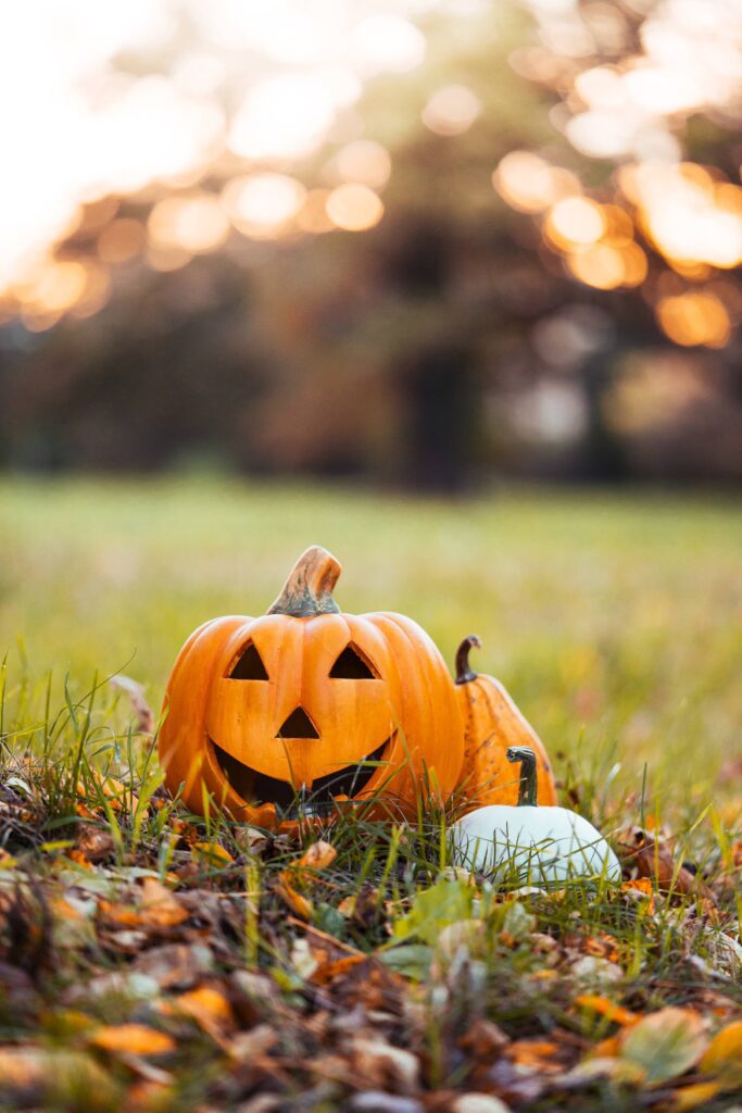 Halloween Pumpkins Decorations in Autumn Grass Free Photo