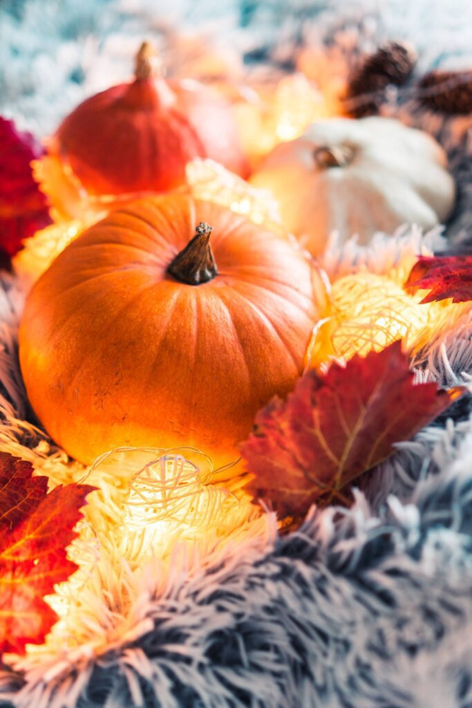 Halloween Pumpkins Still Life Free Photo