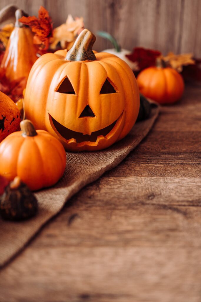 Halloween Vertical Still Life with Place for Your Text Free Photo