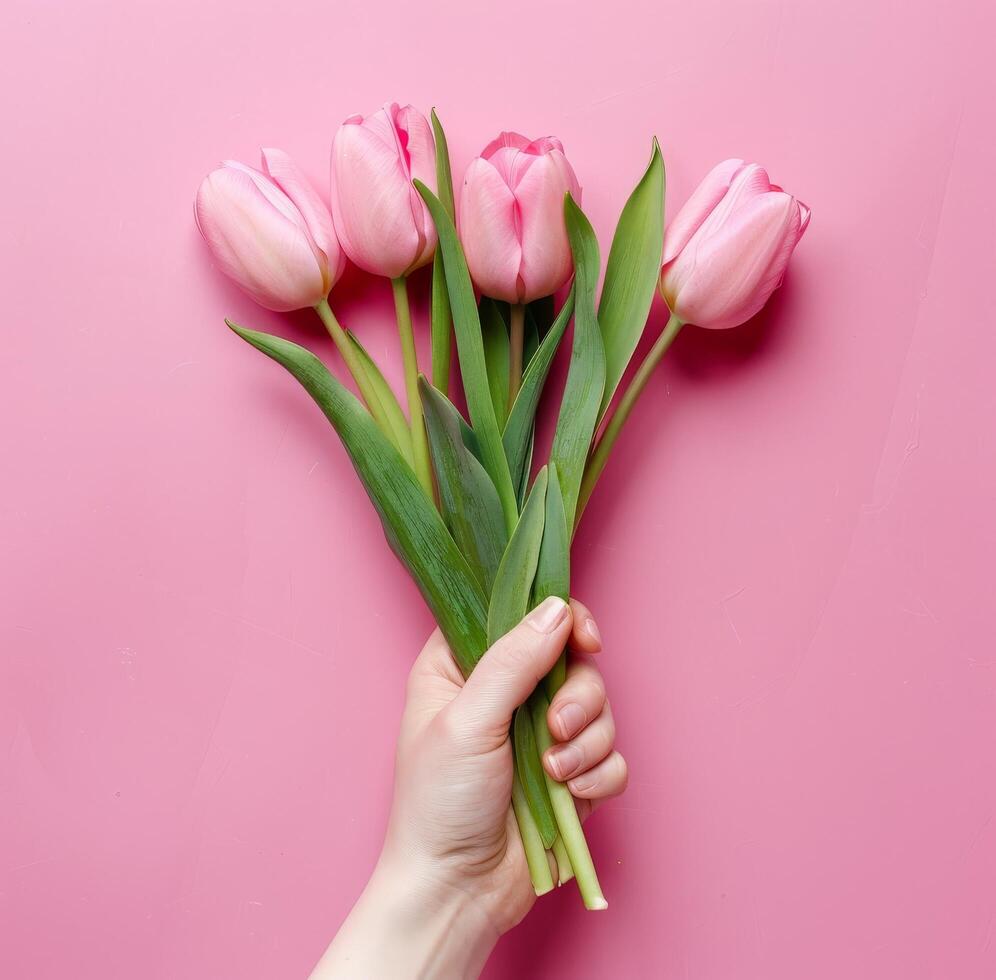 Hand Holding Pink Tulips on Pink Background Stock Free