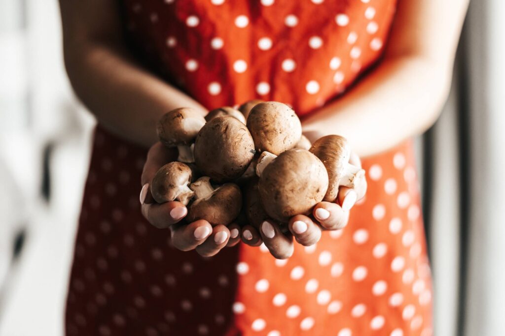 Hands Full of Mushrooms Free Photo