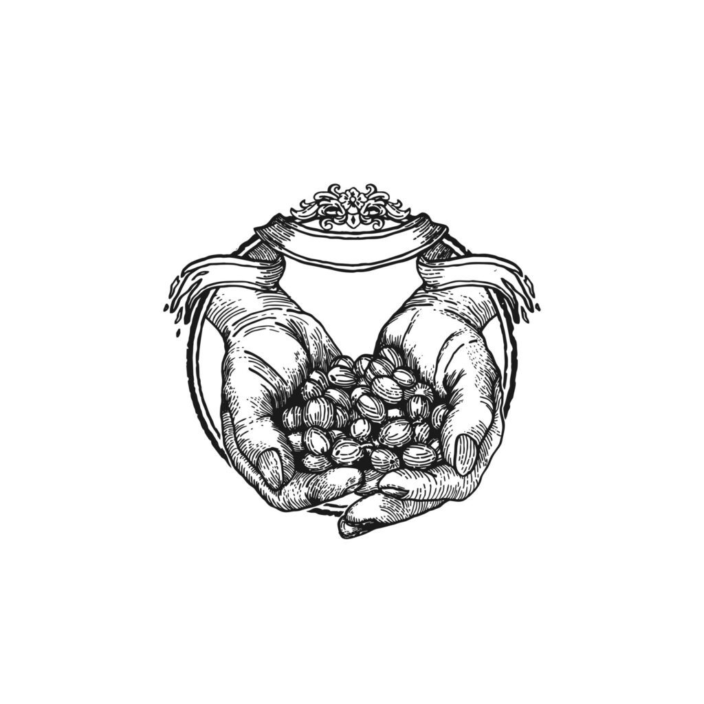 hands holding coffee beans with ornaments vector illustration. isolated on white background. realistic drawing of beautiful hand Free Vector