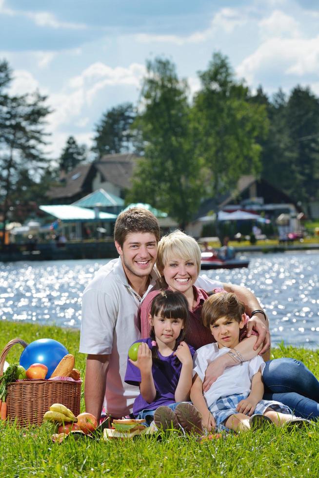 Happy family playing together in a picnic outdoors Stock Free