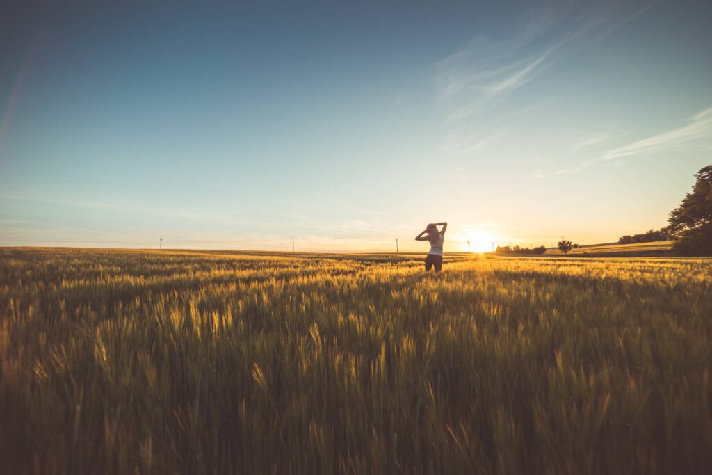 Happy Girl Dancing in a Wheat Field on Sunset #2 Free Photo