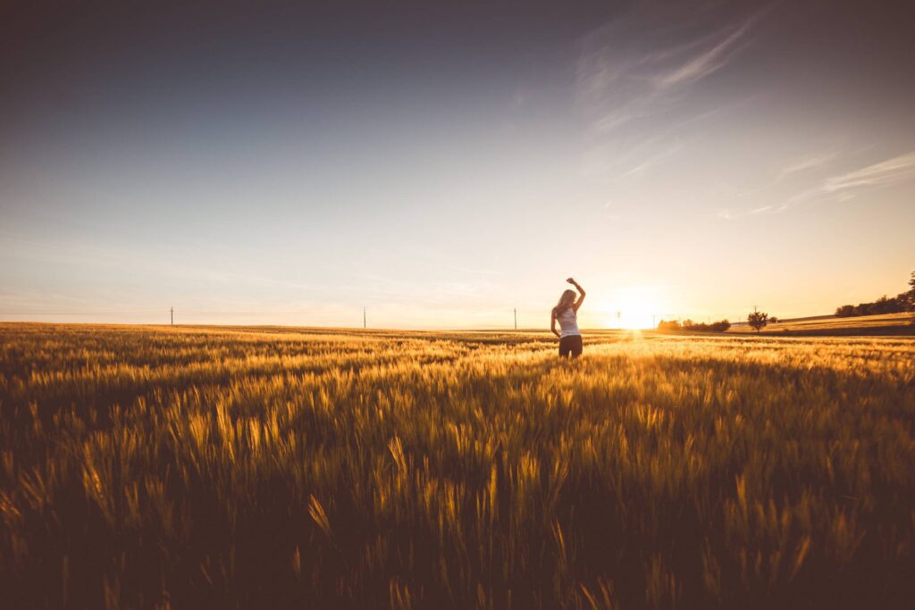 Happy Girl Dancing in a Wheat Field on Sunset Free Photo