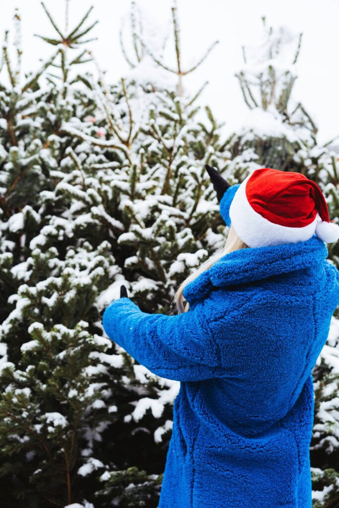 Happy Woman in a Christmas Hat Choosing The Best Christmas Tree Free Photo