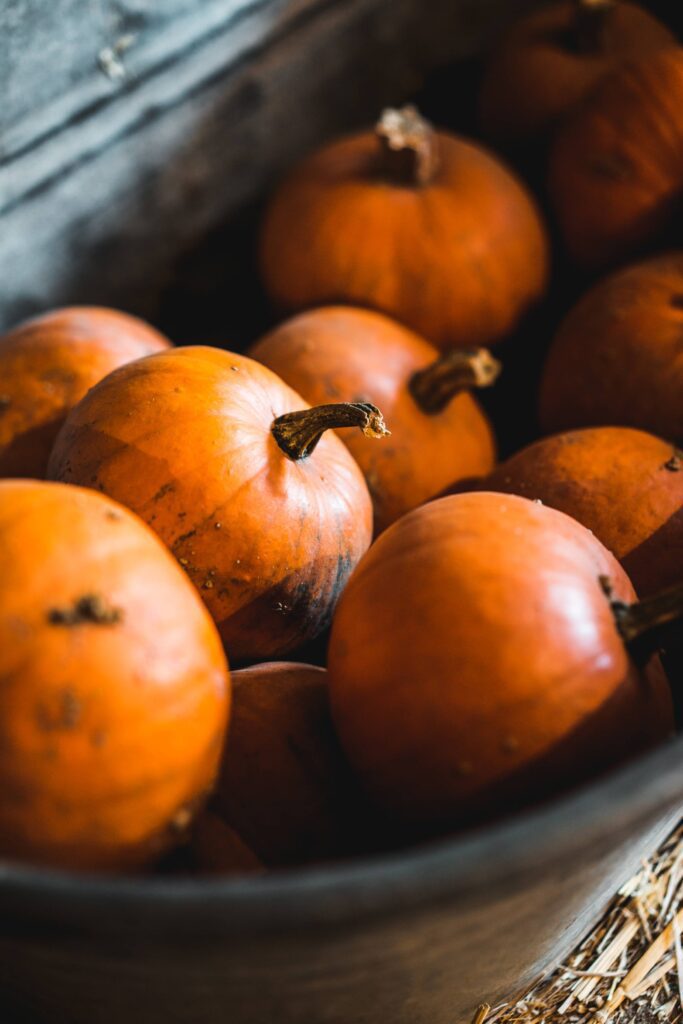 Heap of Pumpkins in a Metal Bath Free Photo