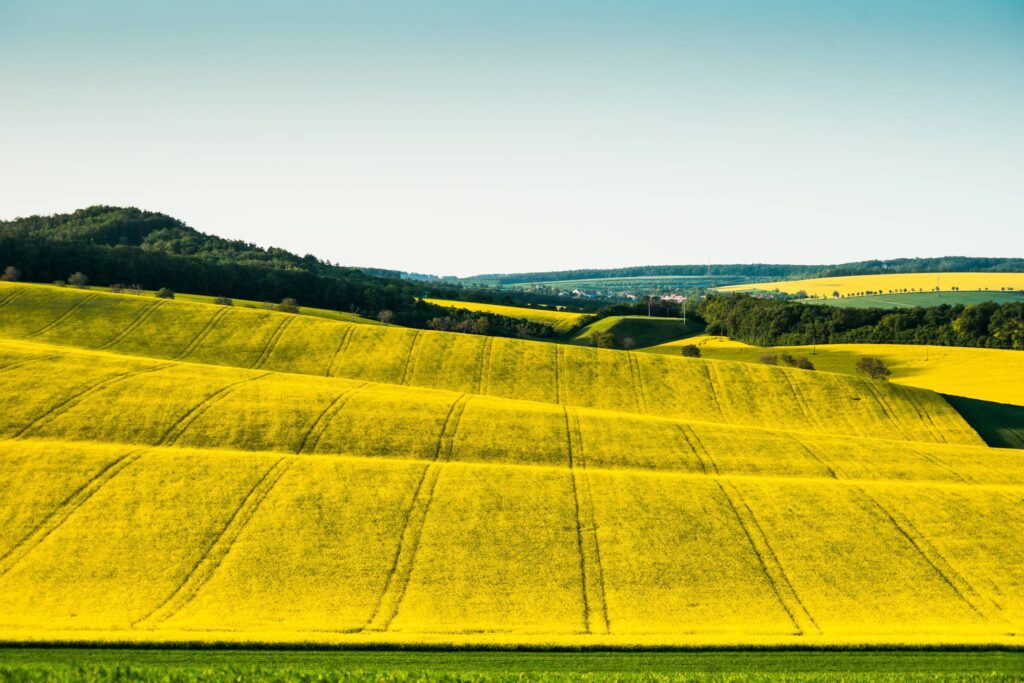 Hills and Fields of South Moravia, Czechia Free Photo