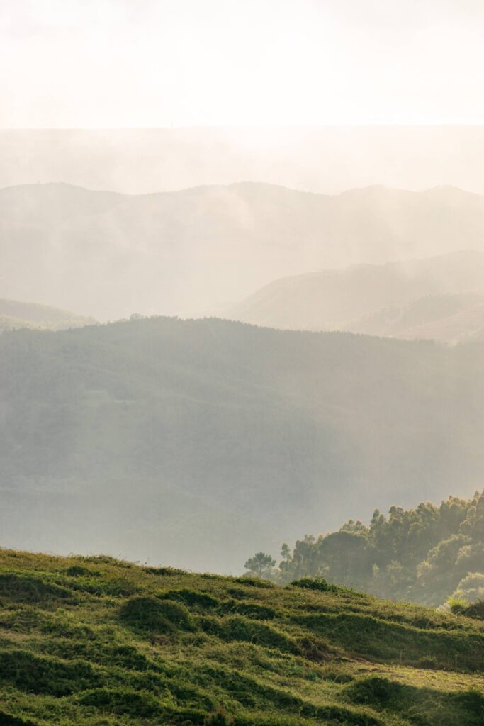 Hills in Countryside of Southern Portugal Vertical Free Photo