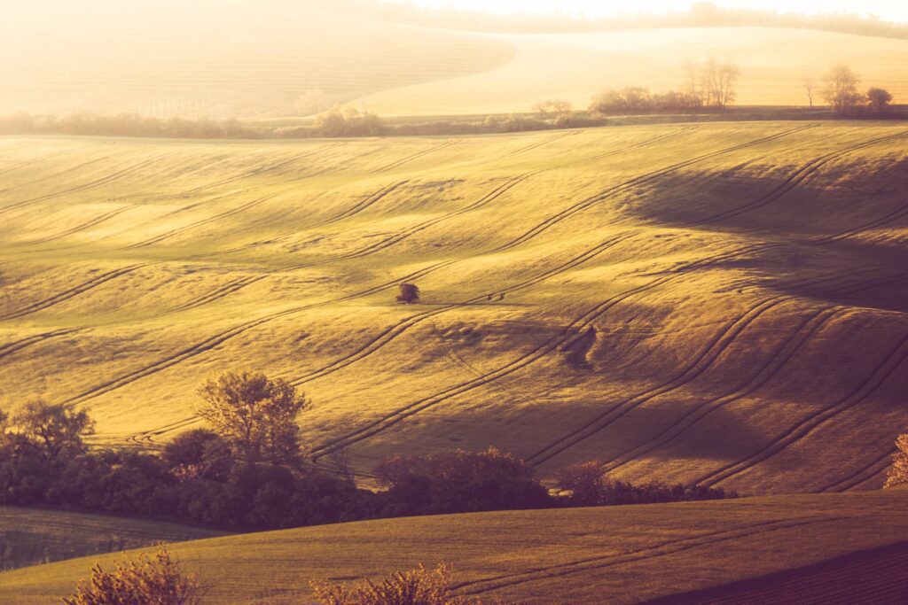 Hilly Fields Free Photo